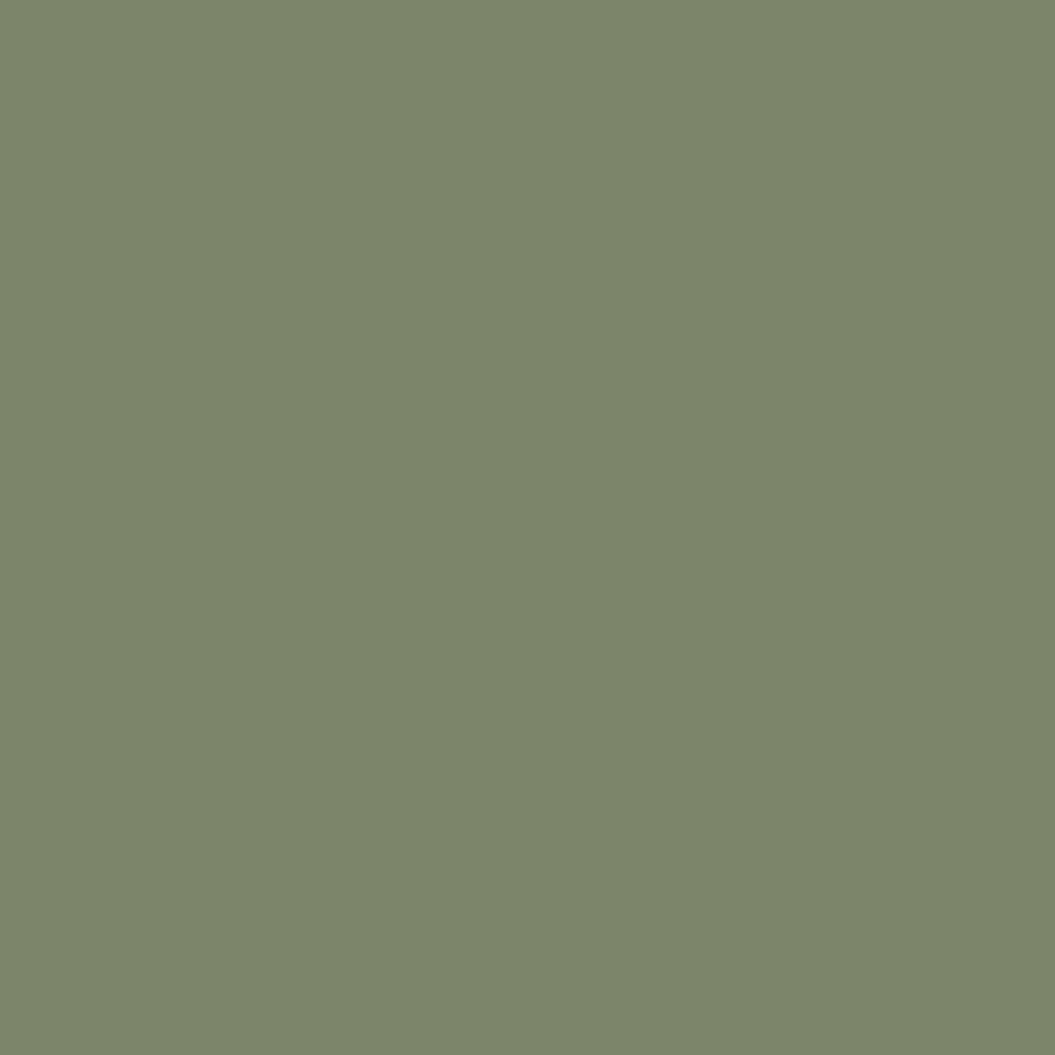 50x Rails 2370 Mist Green/Pale Eucalypt